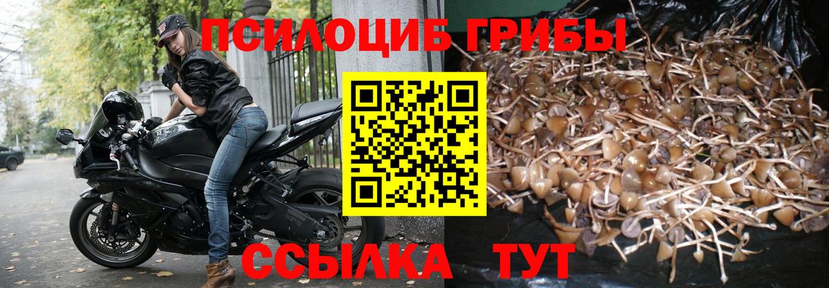купить наркотик  Вход с VPN  Лесной  Псилоцибиновые грибы ЛСД 